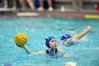 WWPolo vs CC  Wheaton College Women’s Water Polo compete in their sports inaugural match vs Connecticut College. - Photo By: KEITH NORDSTROM : Wheaton, water polo, inaugural